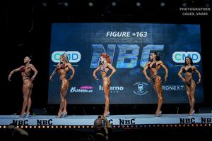 FIGURE +163